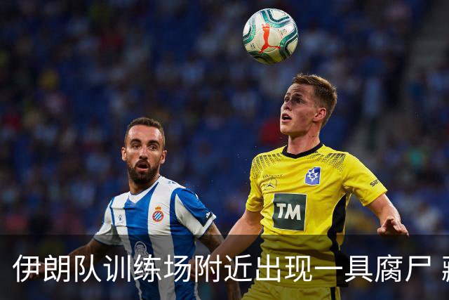伊朗队训练场附近出现一具腐尸 藏在车辆后备箱+黑袋包裹