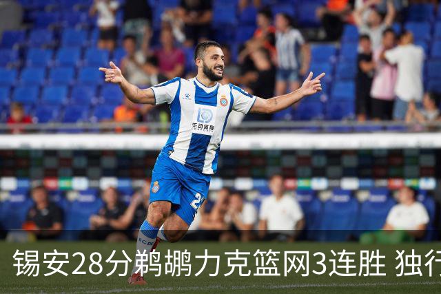 锡安28分鹈鹕力克篮网3连胜 独行侠险胜马刺